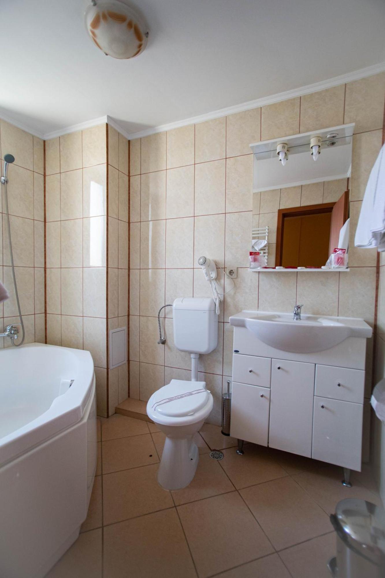 Hotel Alexandra Timișoara Zewnętrze zdjęcie